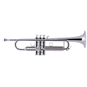 Trompeta Schilke i33 